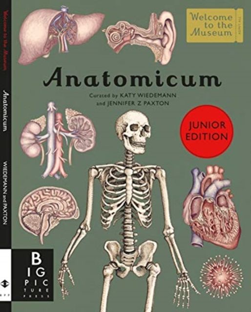 Anatomicum