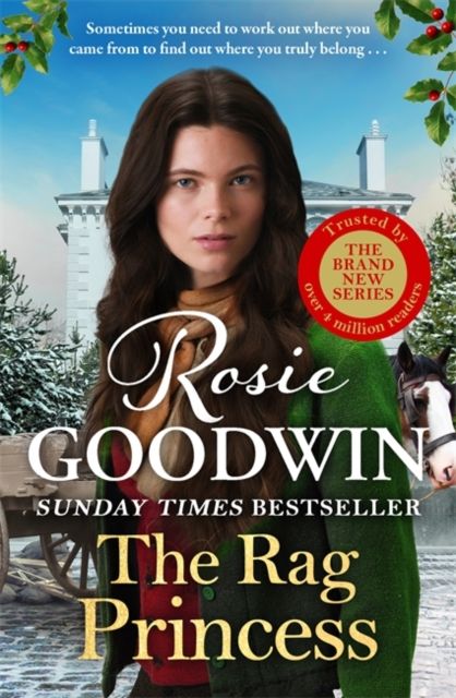 Forsidebilde av The Rag Princess : The first book in the brand-new Rags to Riches trilogy from Britain's best-loved saga author
