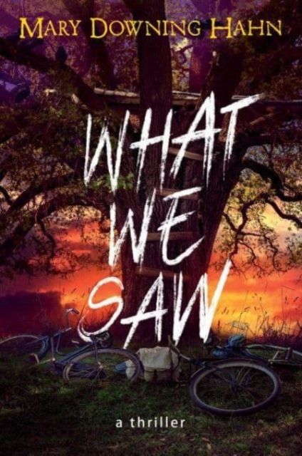 What We Saw : A Thriller