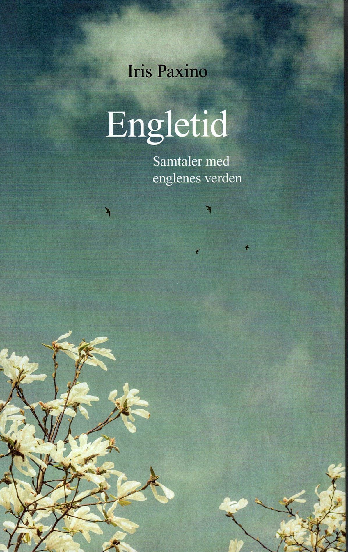Engletid : samtaler med englenes verden