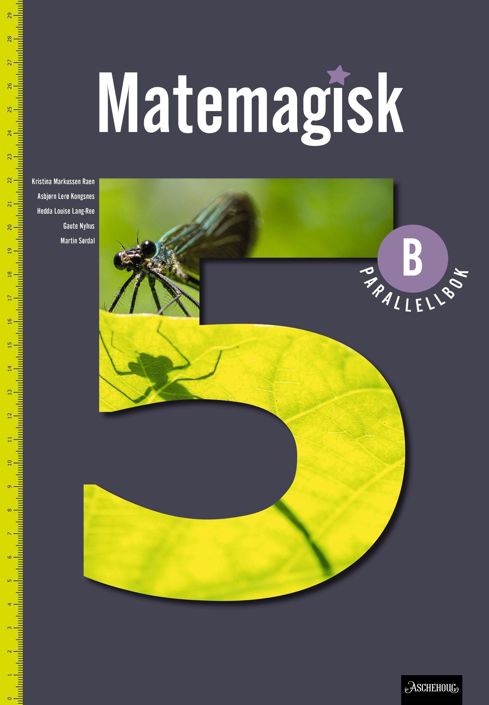 Matemagisk 5B. Paralellbok