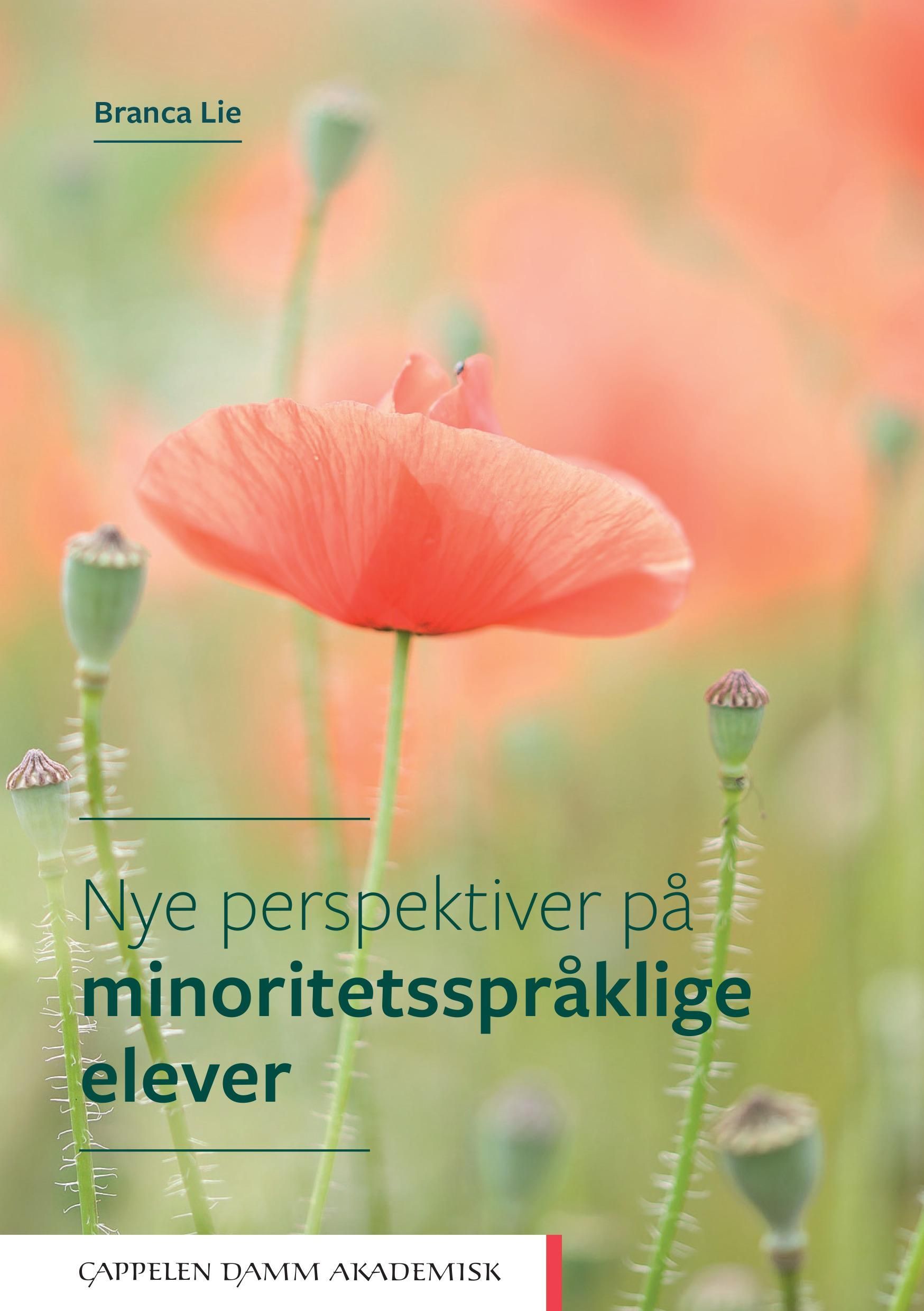 Forsidebilde av Nye perspektiver på minoritetsspråklige elever : en pedagogisk-psykologisk tilnærming