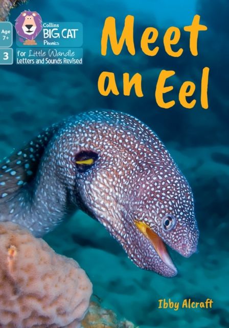 Meet an Eel : Phase 3 Set 1 Blending Practice