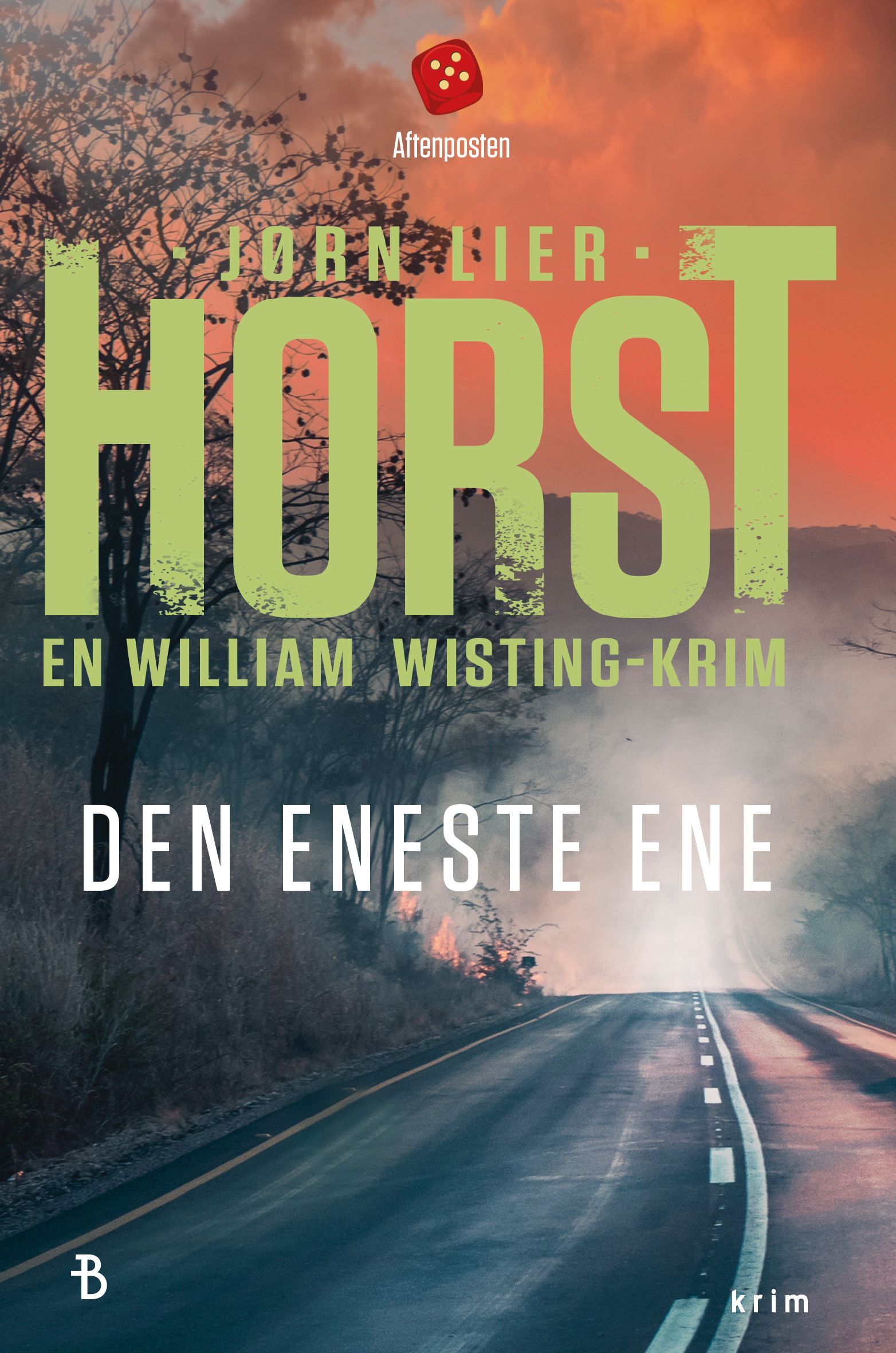 Den eneste ene : kriminalroman