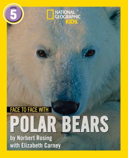 Face to face with polar bears