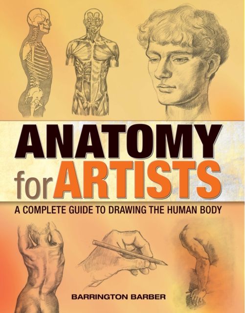 Forsidebilde av Anatomy for artists : a complete guide to drawing the human body