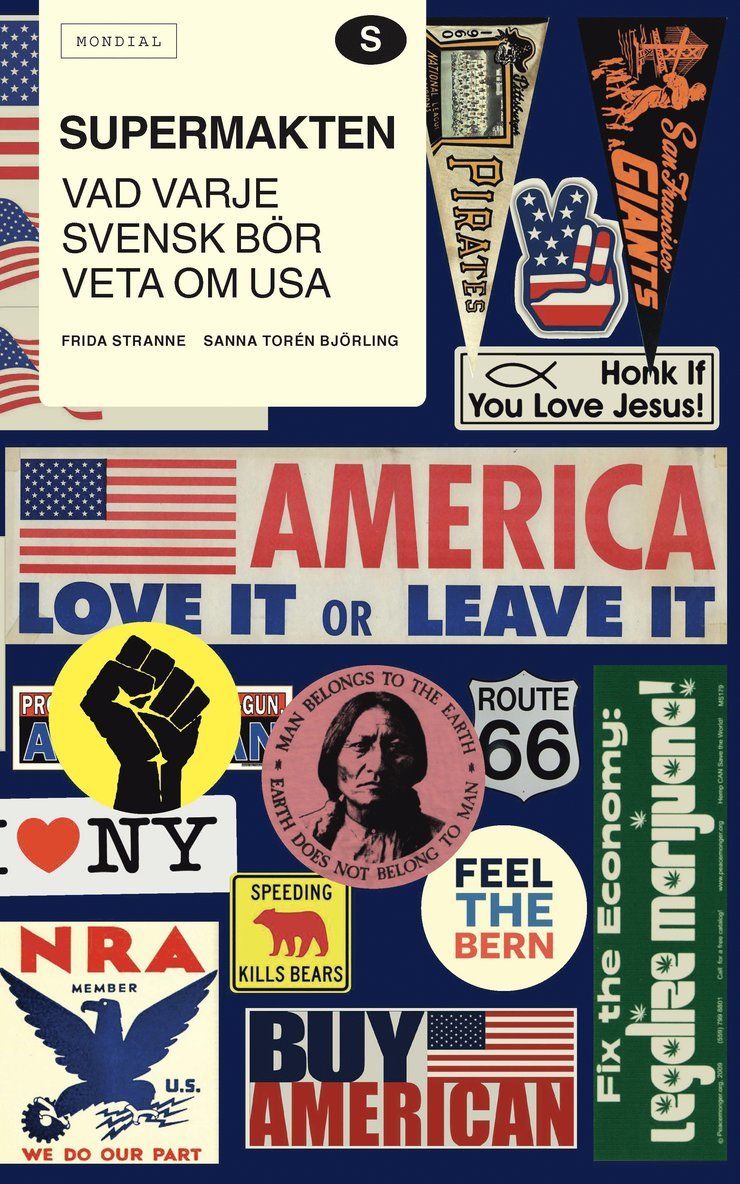 Supermakten : vad varje svensk bör veta om USA