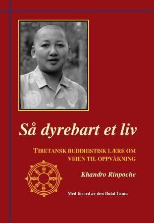 Så dyrebart et liv : tibetansk buddhistisk lære om veien til oppvåkning