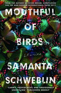 Mouthful of birds : stories
