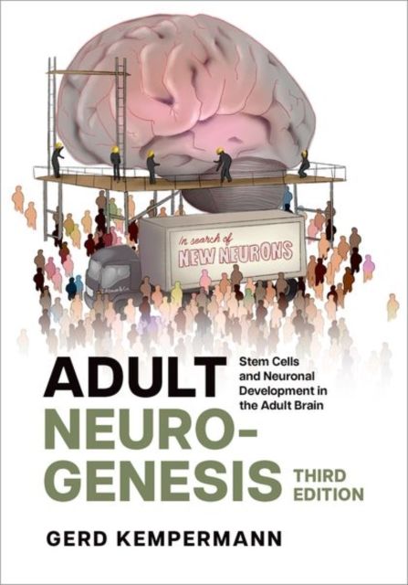 Adult Neurogenesis : Stem Cells and Neuronal Development in the Adult Brain