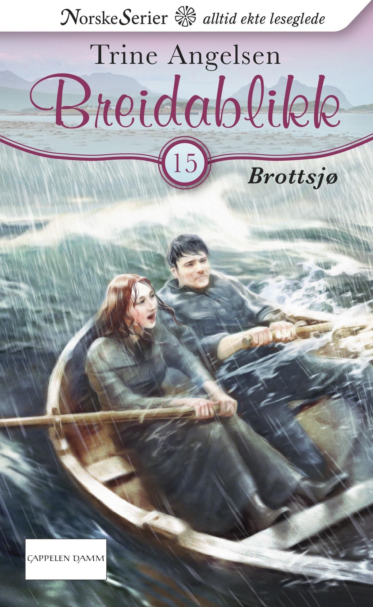 Forsidebilde av Brottsjø