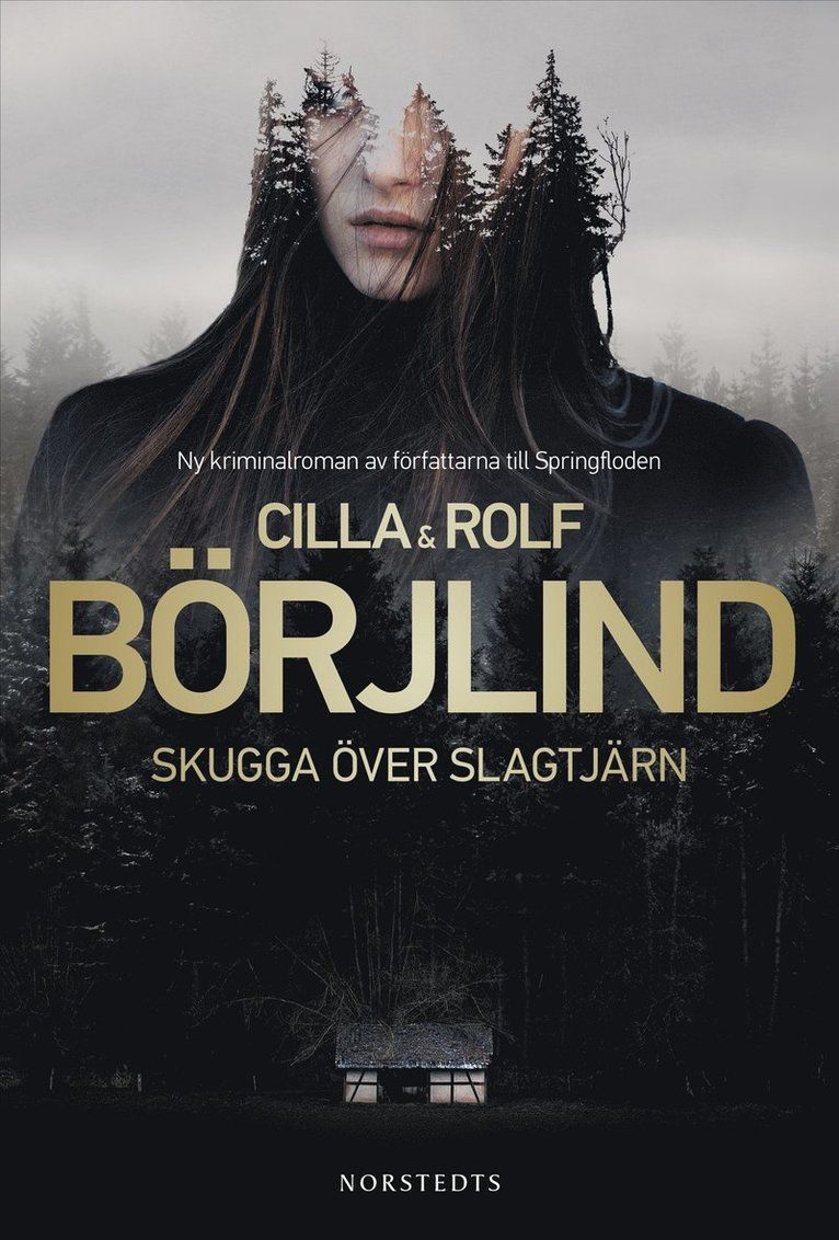 Skugga över Slagtjärn