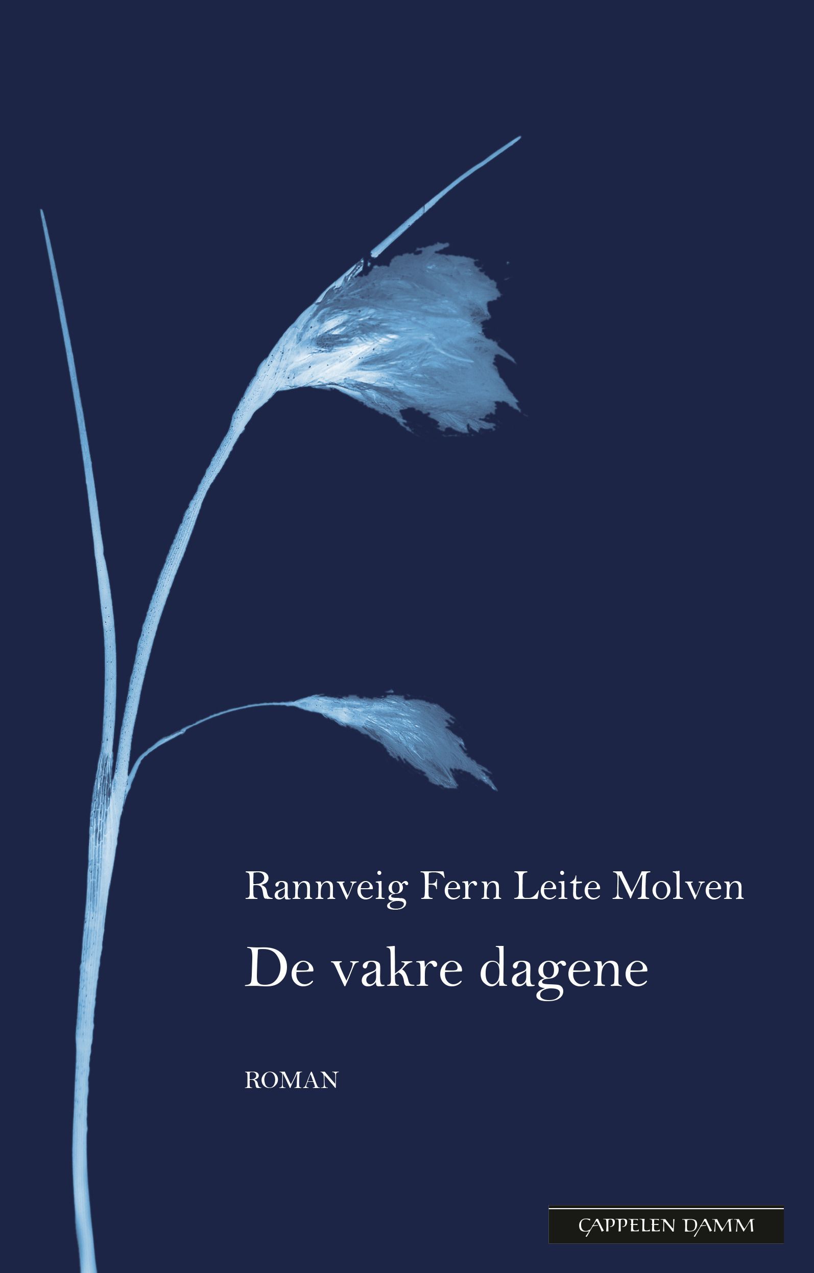 De vakre dagene : roman