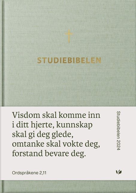 Studiebibelen : Bibelen med introduksjoner og kommentarer
