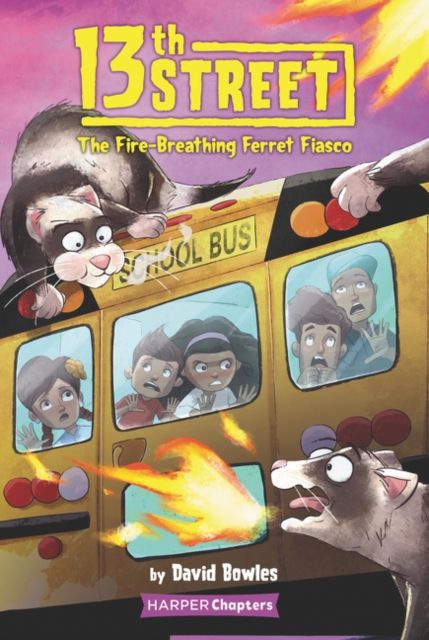 13th Street : The Fire-breathing Ferret Fiasco