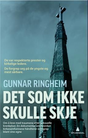 Det som ikke skulle skje : fortellinger om overgrep : en dokumentar om hvordan kirken håndterer seksuelle overgrep blant sine egne