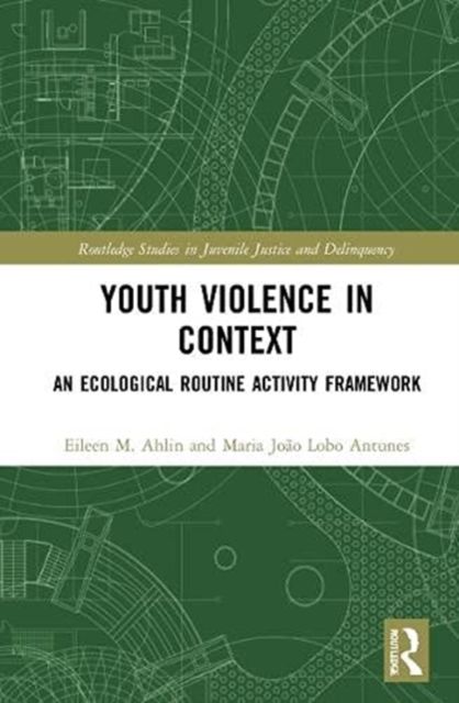 Youth Violence in Context : An Ecological Routine Activity Framework