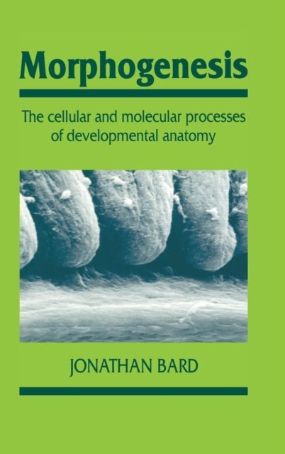 Morphogenesis : The Cellular and Molecular Processes of Developmental Anatomy