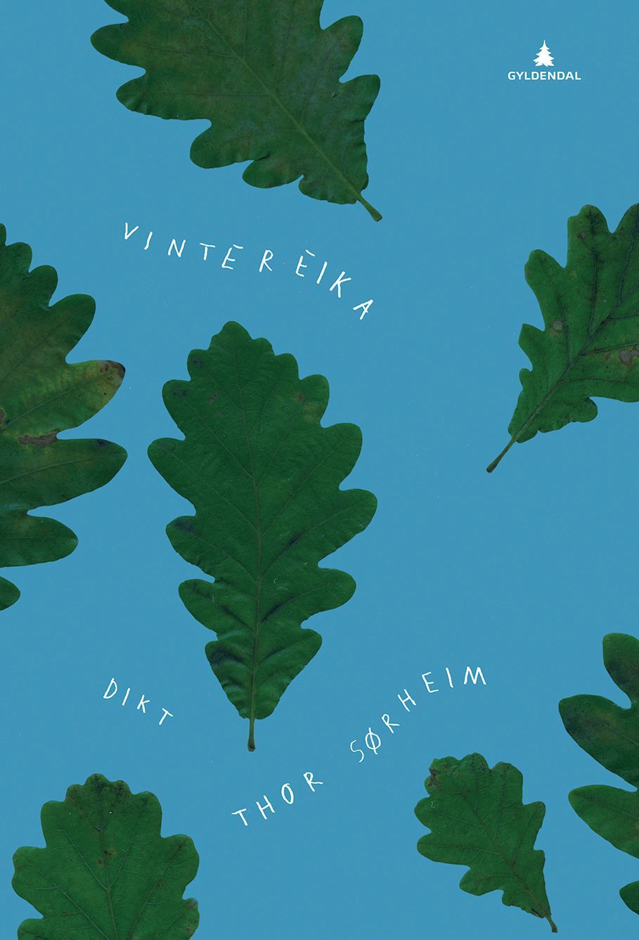 Vintereika : dikt