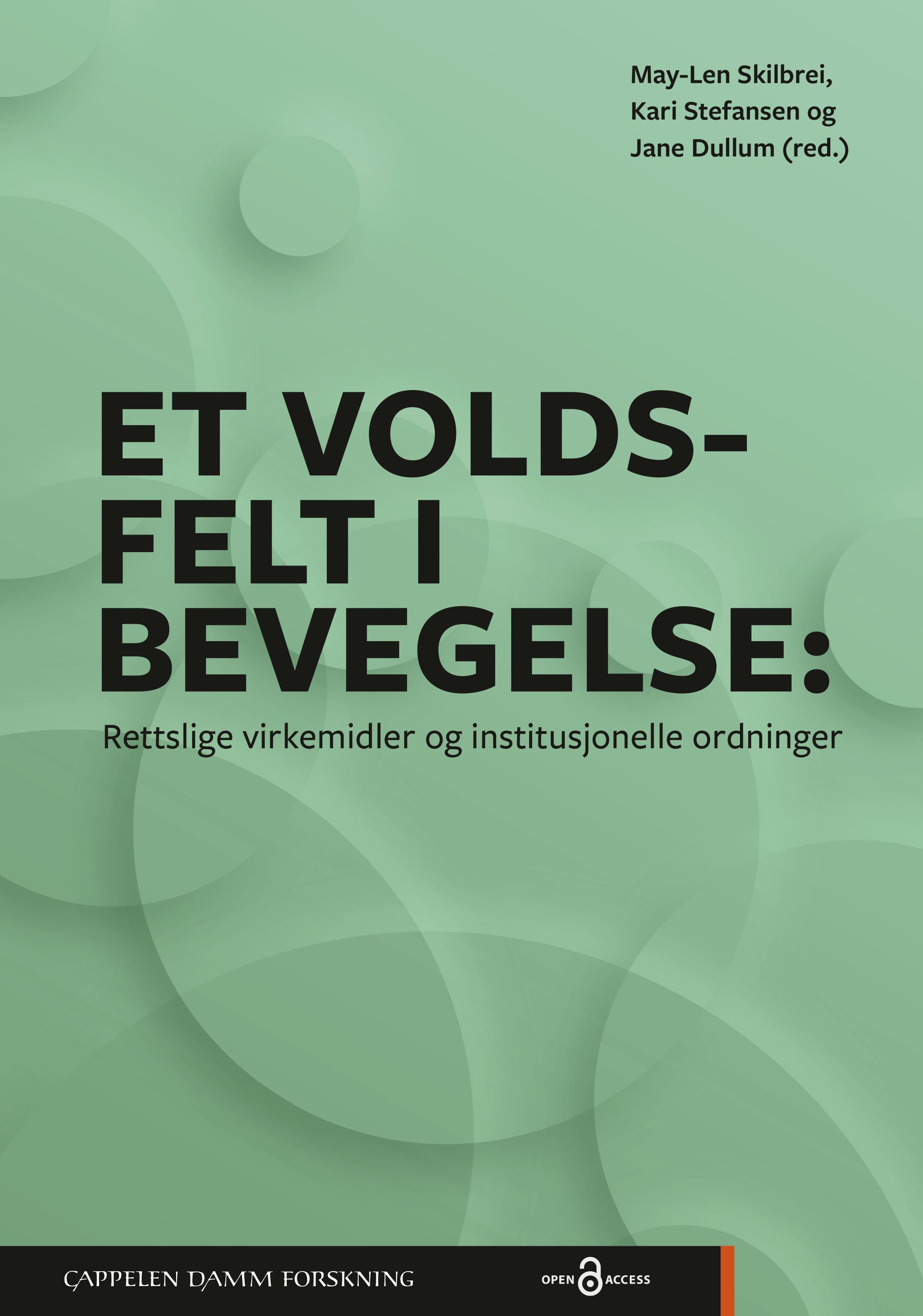 Et voldsfelt i bevegelse : rettslige virkemidler og institusjonelle ordninger