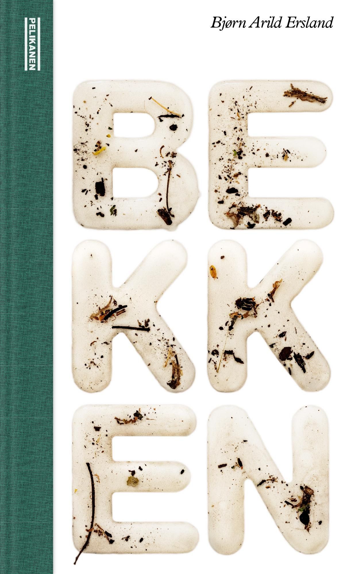Bekken : roman