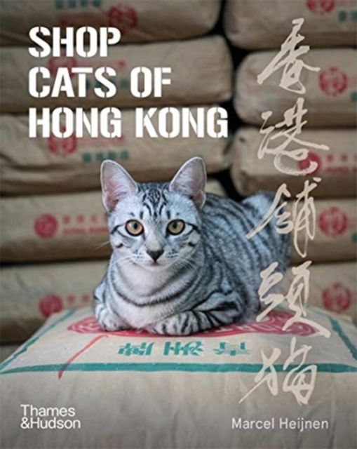 Forsidebilde av Shop Cats of Hong Kong
