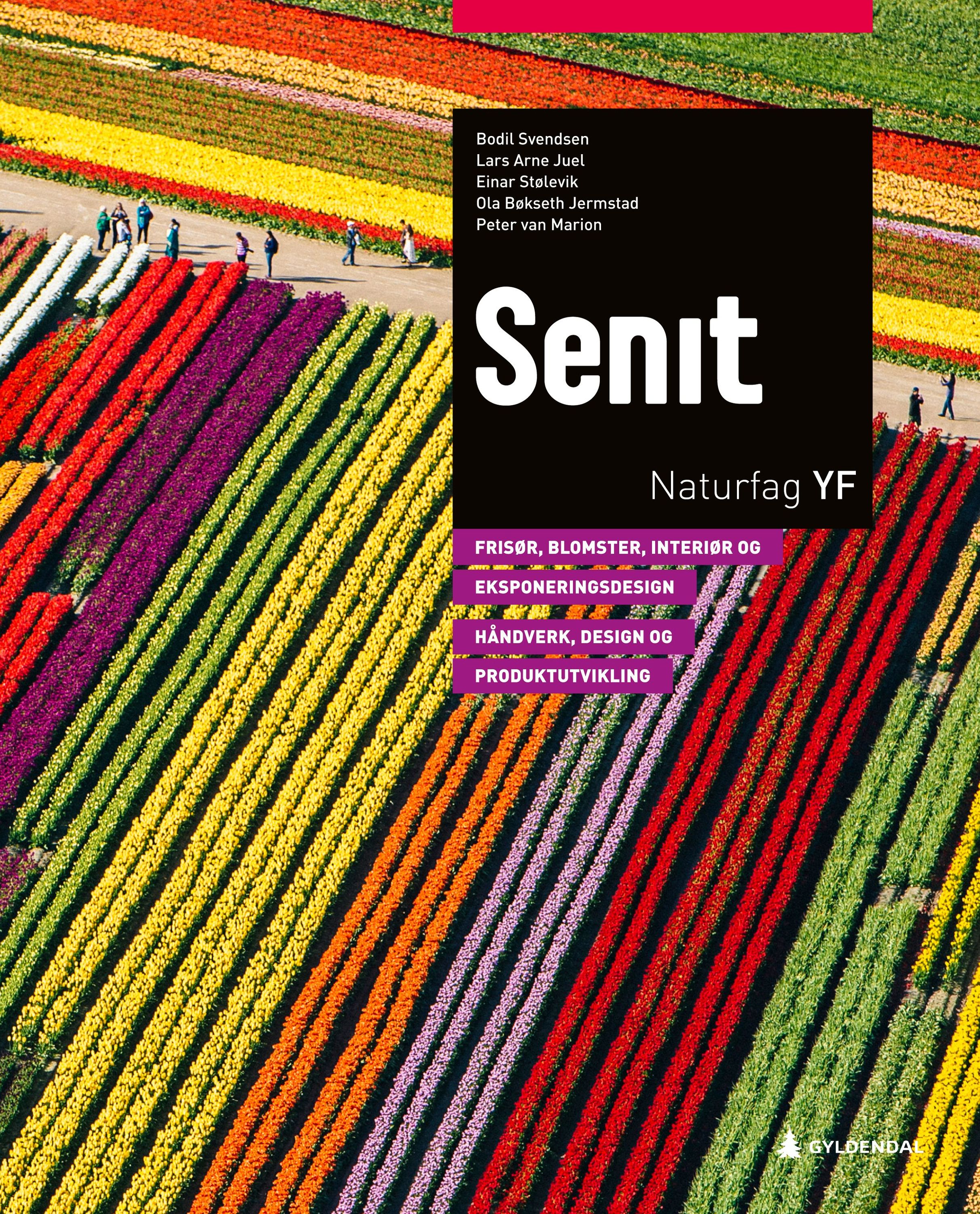 Senit : naturfag YF : frisør, blomster, interiør og eksponeringsdesign : håndverk, design og produktutvikling