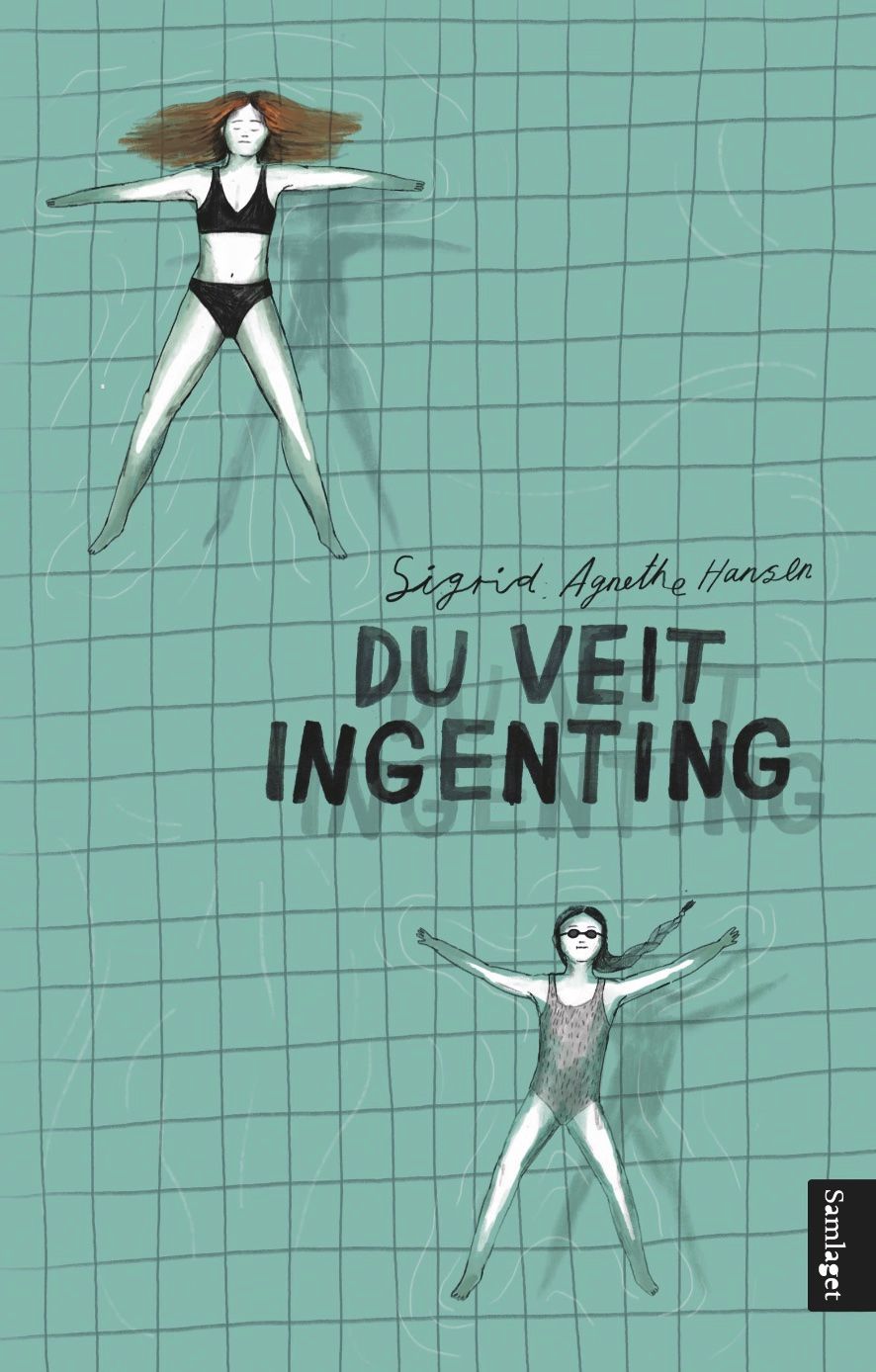 Du veit ingenting : roman