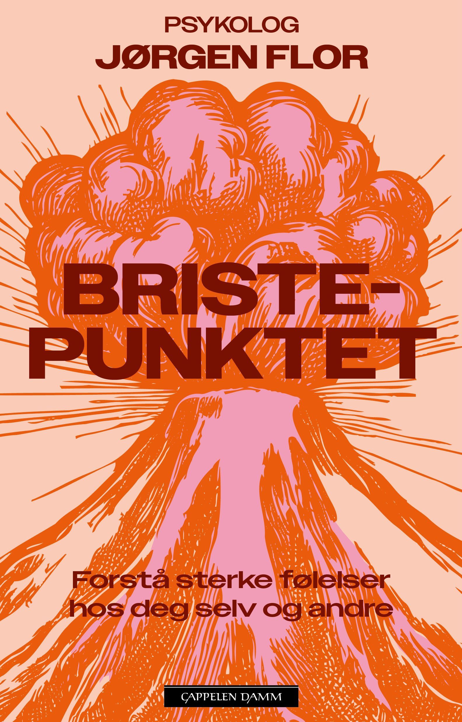 Bristepunktet : forstå sterke følelser hos deg selv og andre
