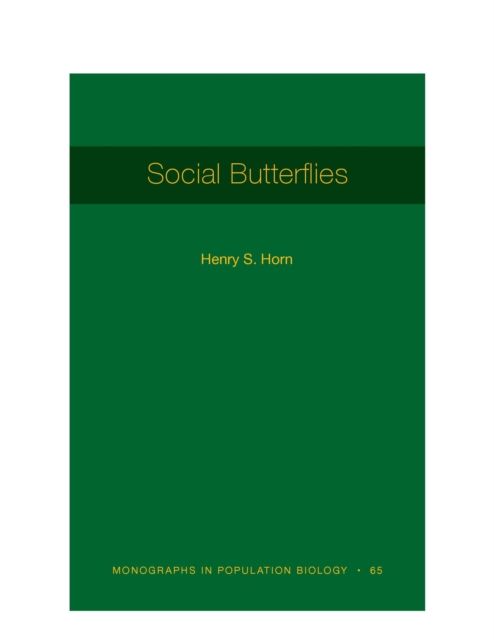 Social Butterflies
