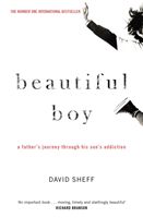 Beautiful boy : a father's journey through his son's meth addiction