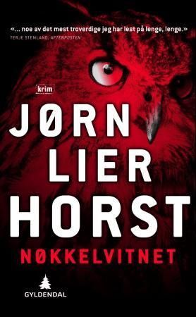 Nøkkelvitnet : kriminalroman