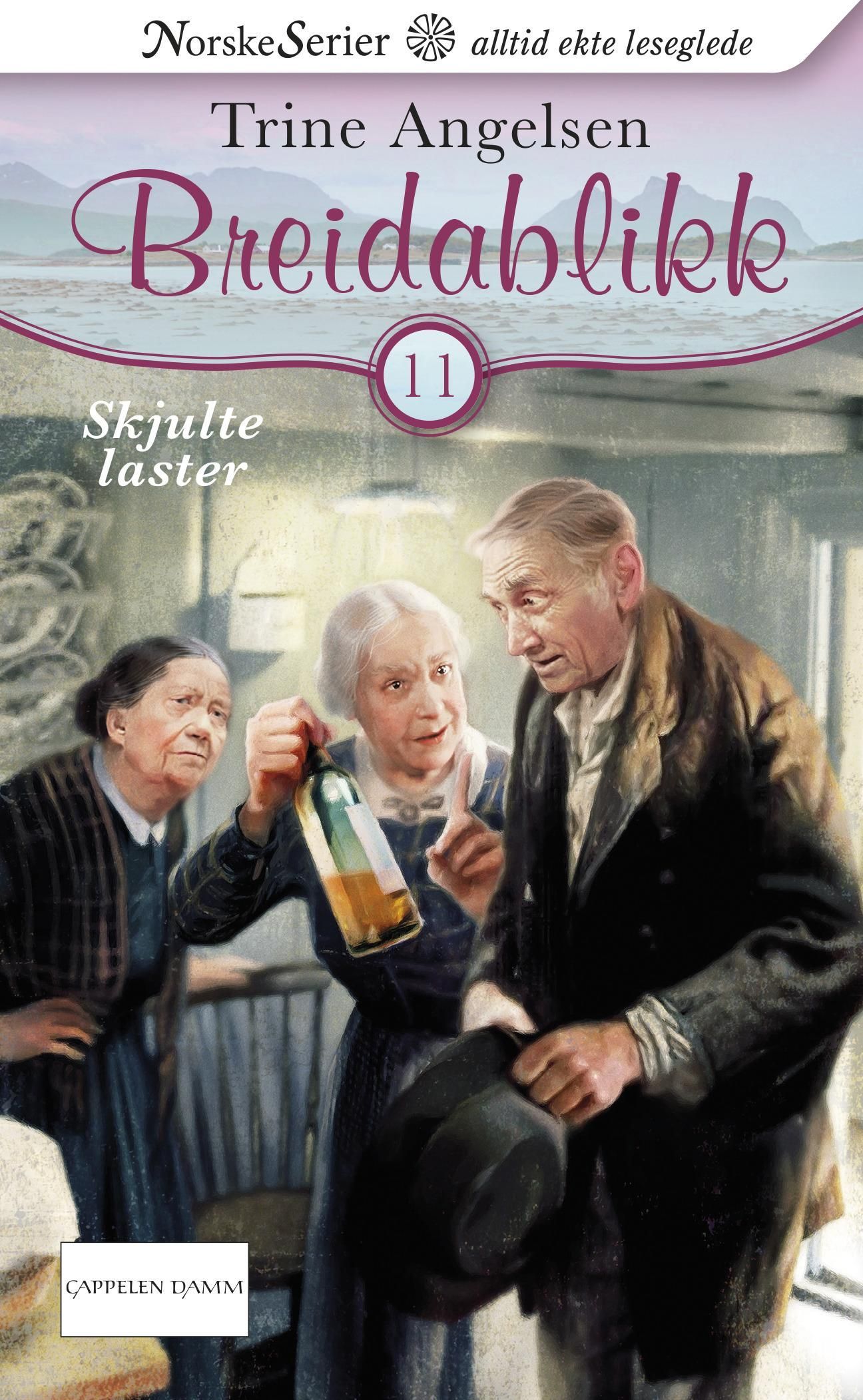 Forsidebilde av Skjulte laster
