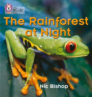 The Rainforest at Night : Band 04/Blue