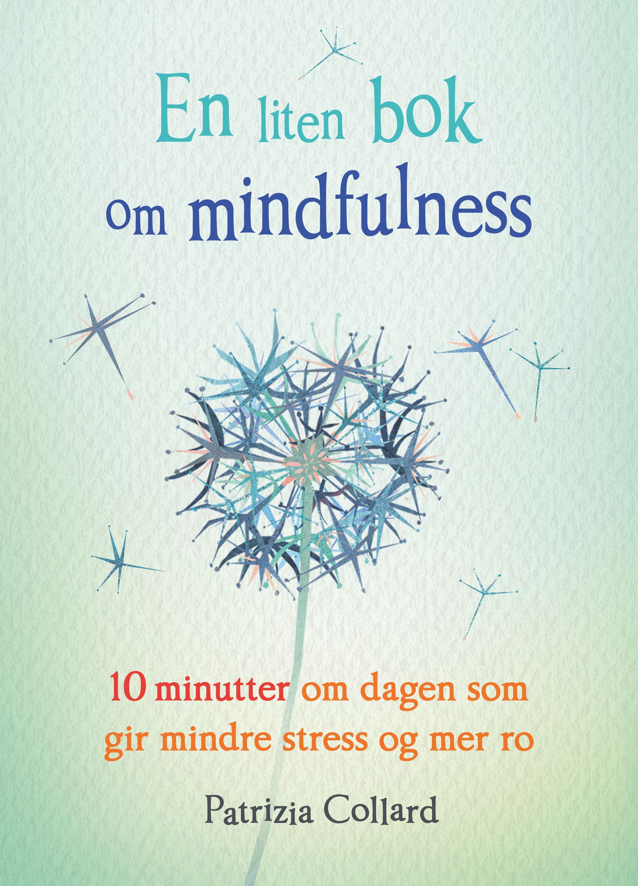 En liten bok om mindfulness : 10 minutter om dagen som gir mindre stress og mer ro