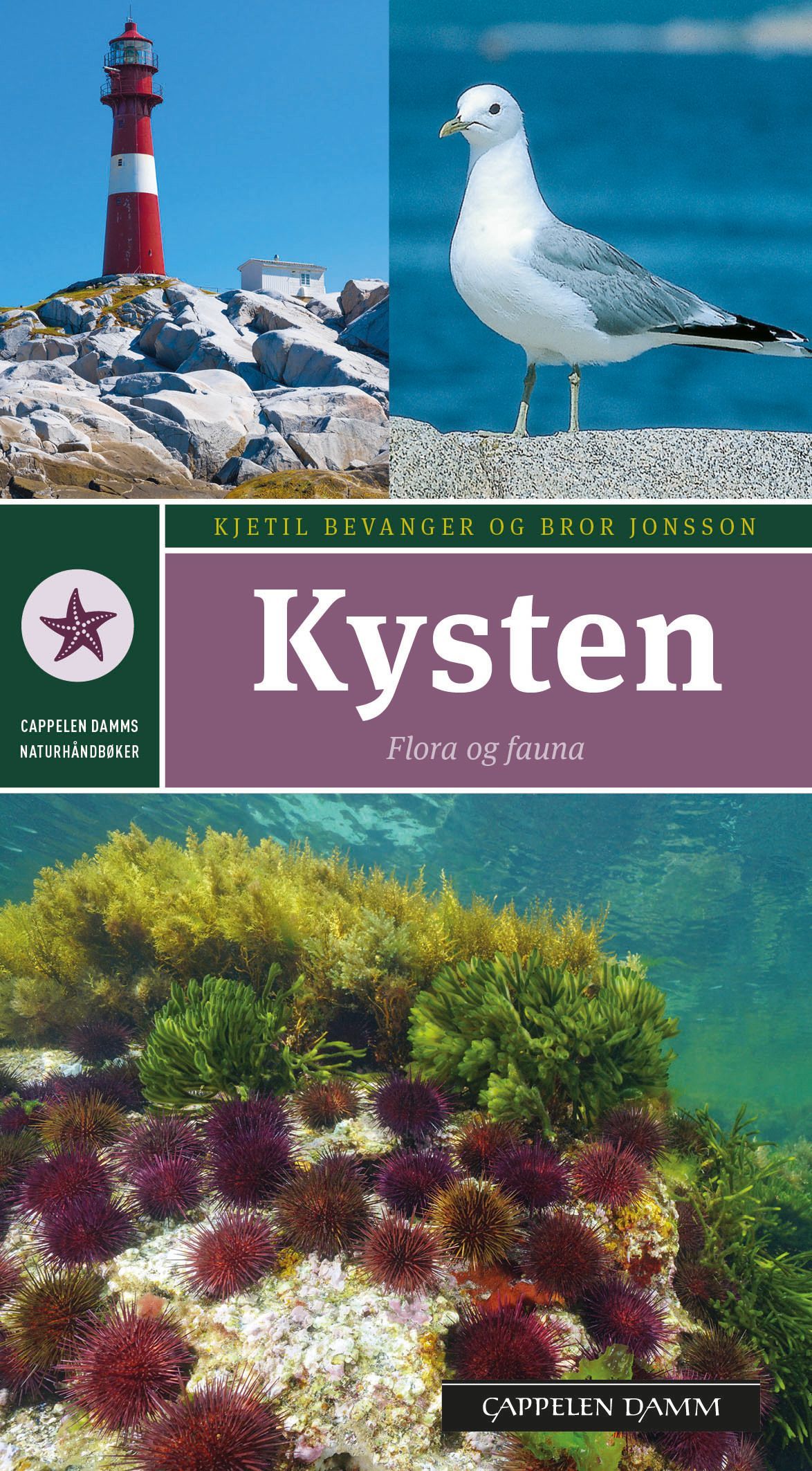 Kysten : flora og fauna