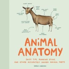 Animal anatomy : sniff tips, running sticks, and other accurately named animal parts