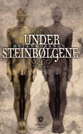 Under steinbølgene : roman