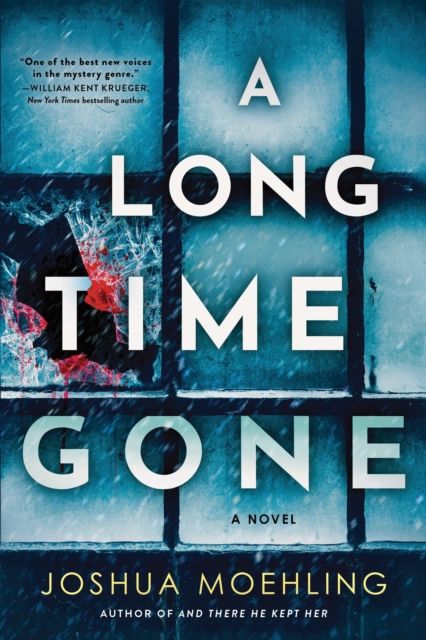 Forsidebilde av A Long Time Gone : A Novel