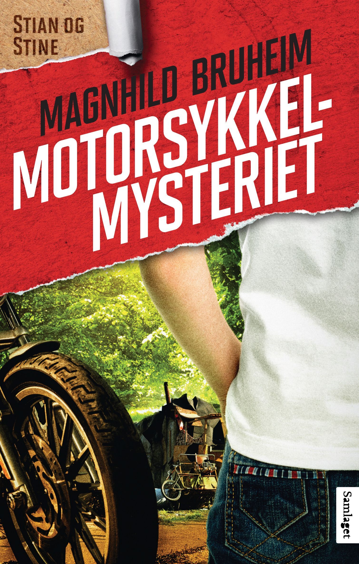 Motorsykkelmysteriet : roman