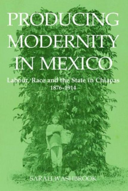 Producing Modernity in Mexico : Labour, Race, and the State in Chiapas, 1876-1914