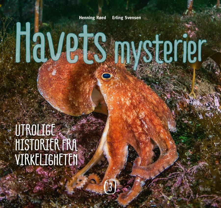 Havets mysterier : utrolige historier fra virkeligheten. 3
