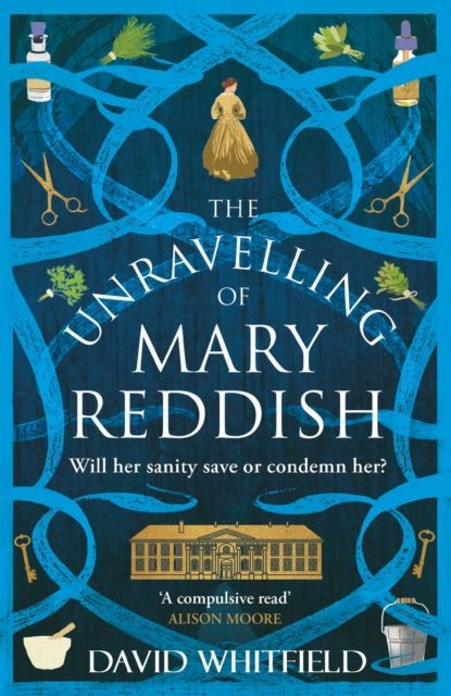 The Unravelling of Mary Reddish : a powerful historical novel about a woman unjustly committed to an asylum