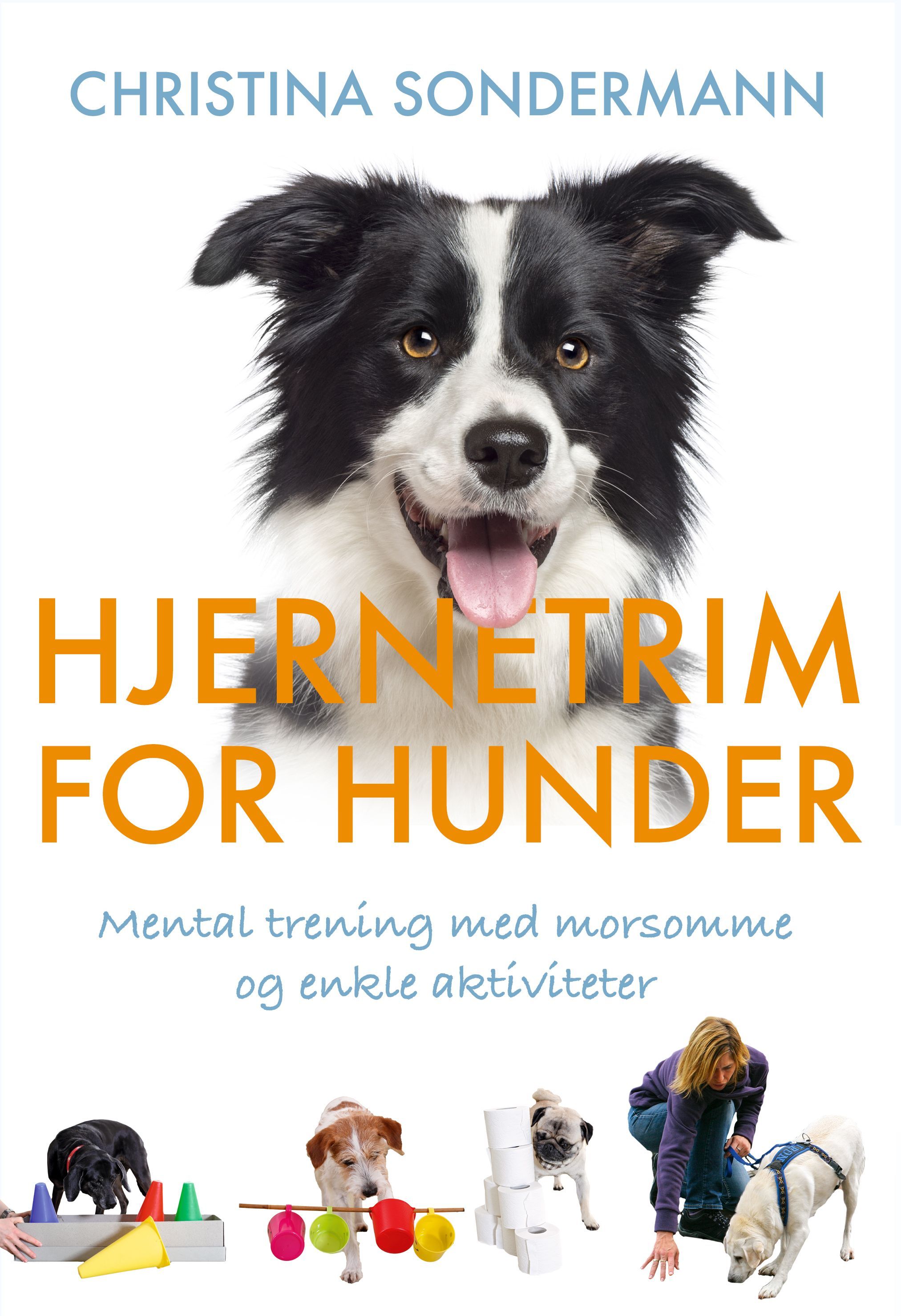 Hjernetrim for hunder : mental trening med morsomme og enkle aktiviteter