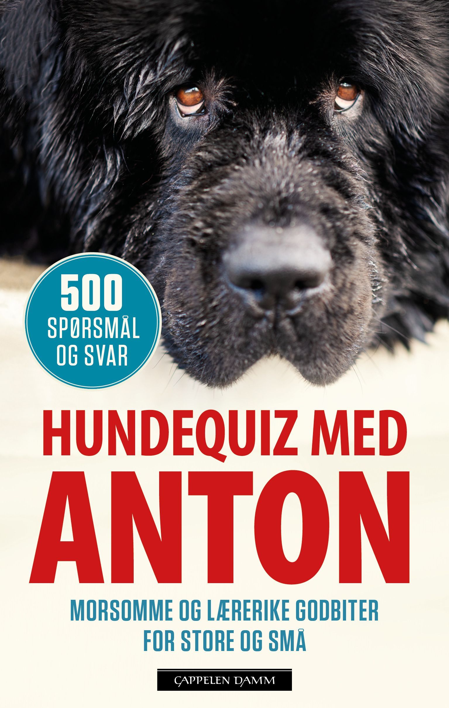 Hundequiz med Anton : 500 spørsmål og svar