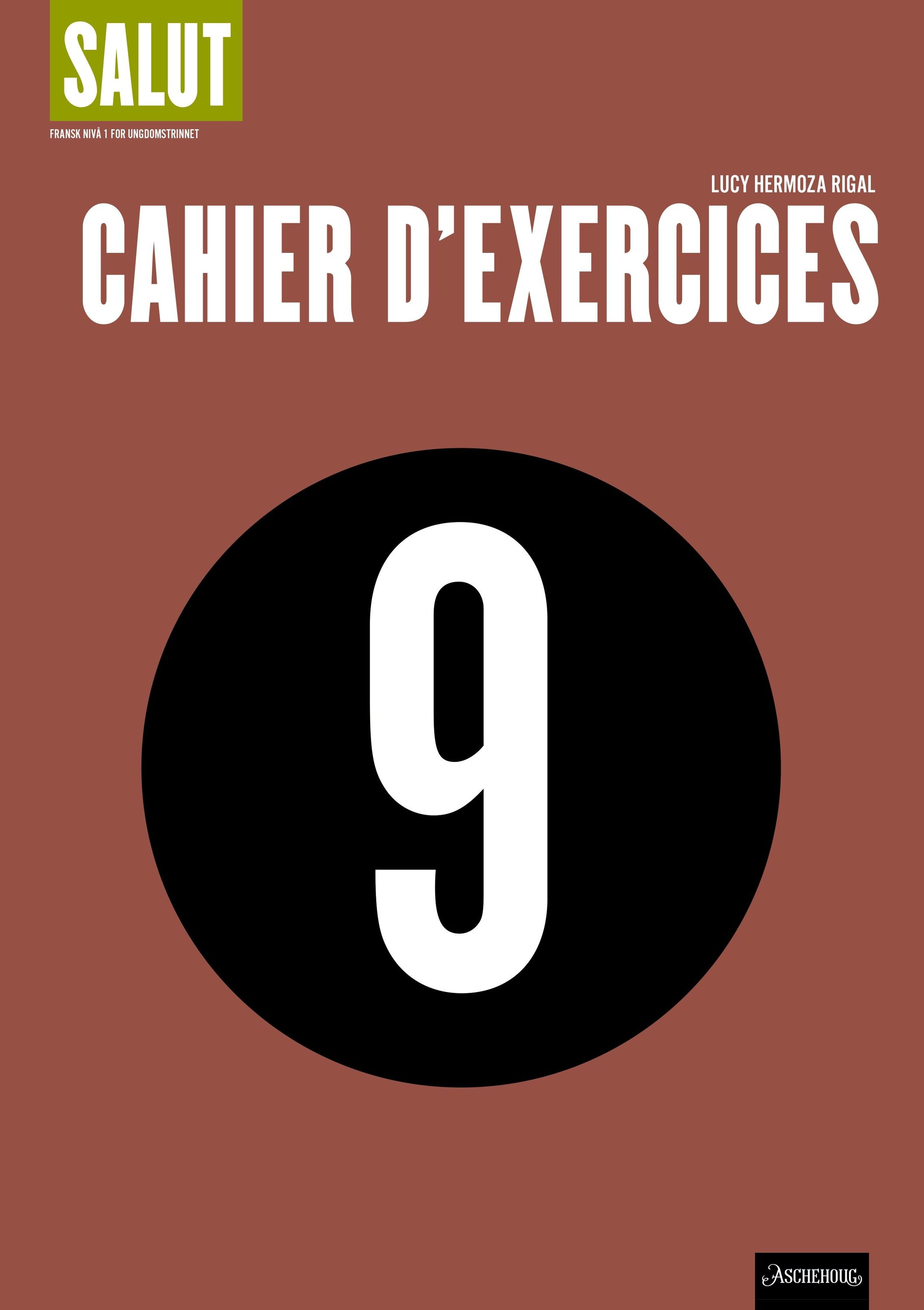 Salut 9 : fransk nivå 1 for ungdomstrinnet. Cahier d'exercices