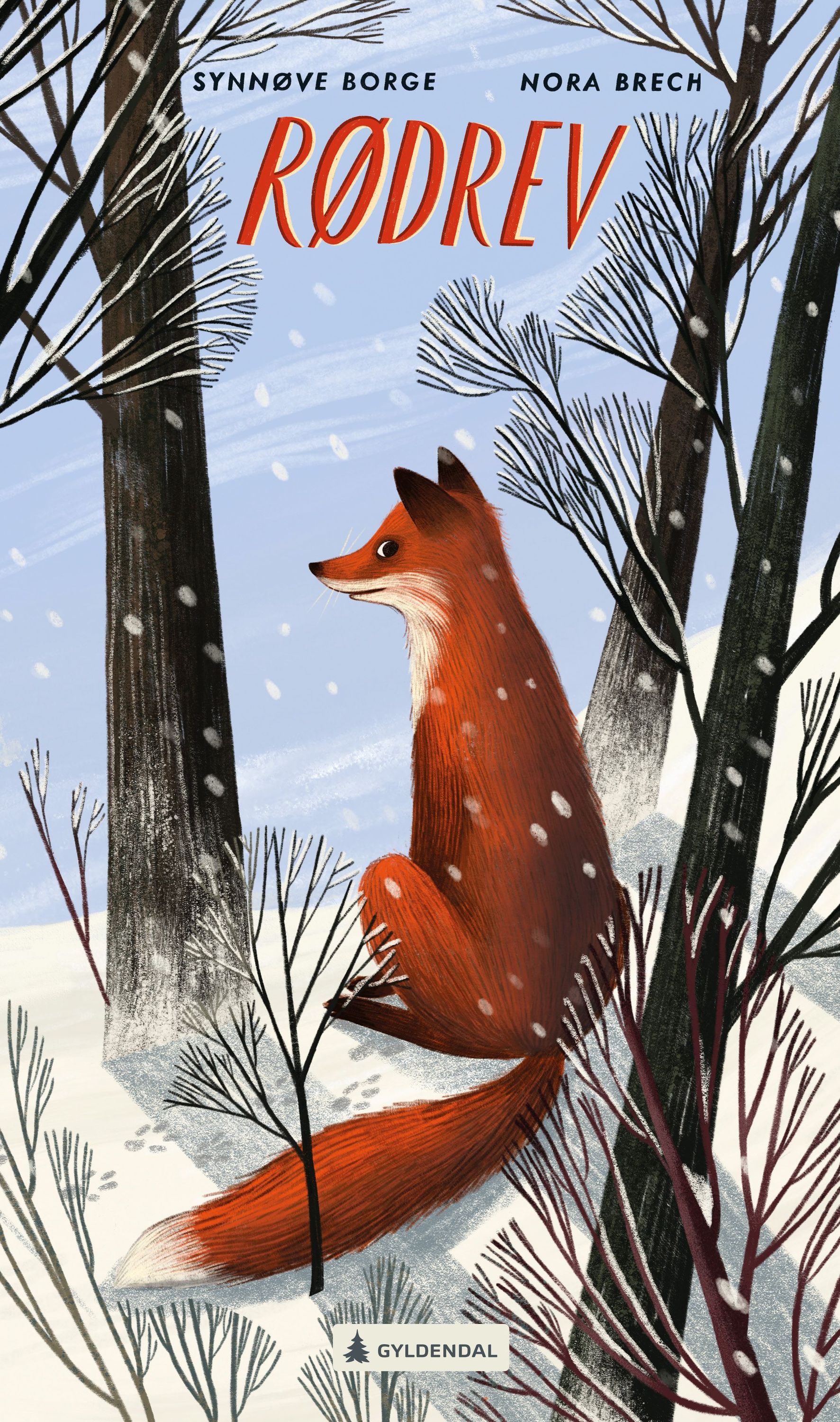 Rødrev : Vulpes vulpes