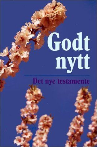 Forsidebilde av Godt nytt : det nye testamente