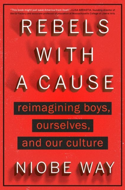 Rebels with a cause : reimagining boys ourselves, and our culture