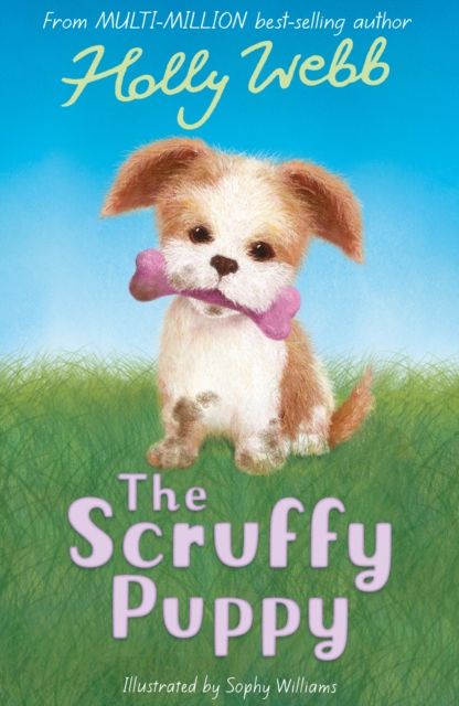 The scruffy puppy